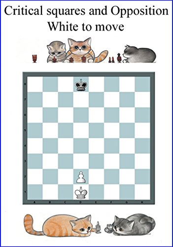 Chess Patterns